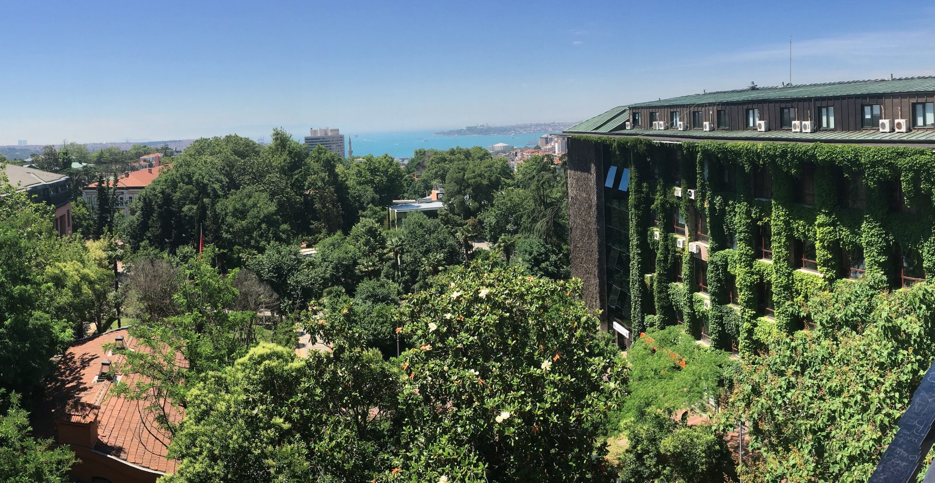 YTÜ Beşiktaş Kampüsü Sarmaşıklı Bina